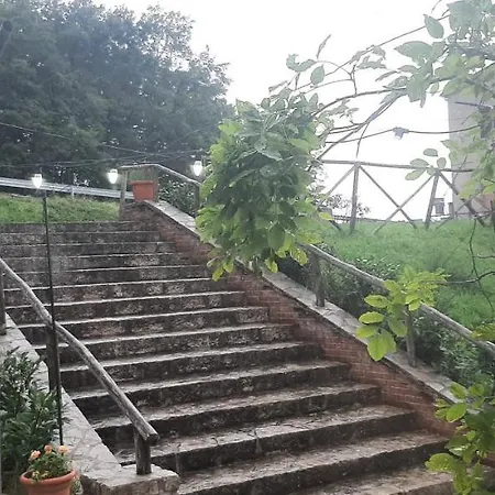 La Vecchia Fattoria Pignola