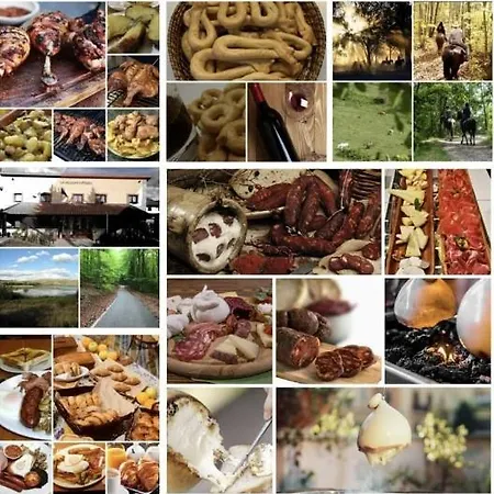 La Vecchia Fattoria Bed & Breakfast